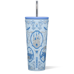 Disney Princess Cold Cup - Modern Daily Choice Pack